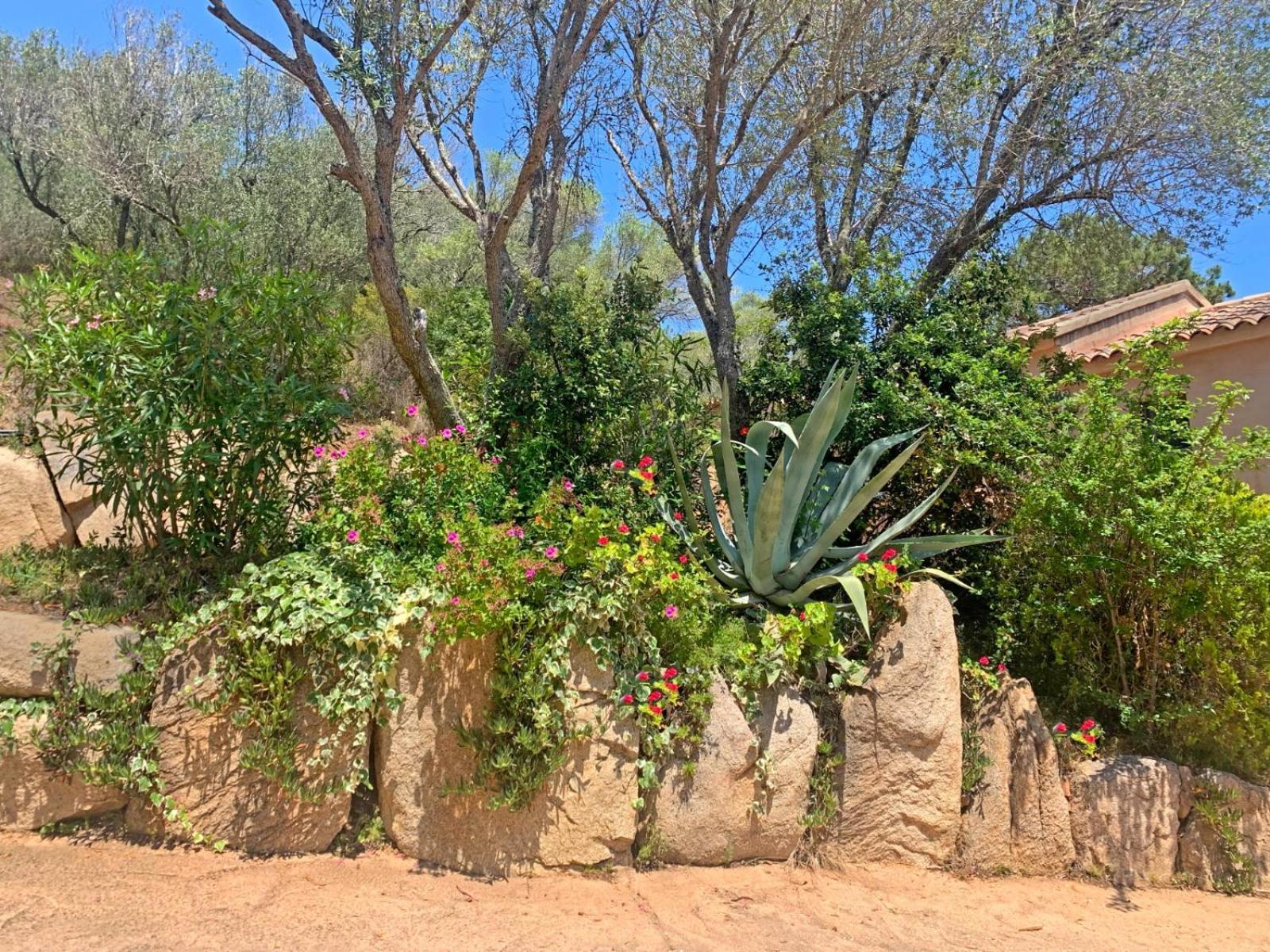 בוניפסיו Hotel Maora Village מראה חיצוני תמונה